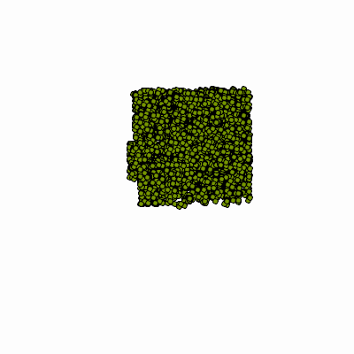 Export Image